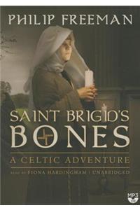 Saint Brigid's Bones
