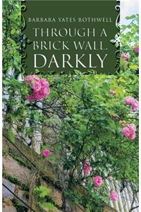 Through a Brick Wall, Darkly