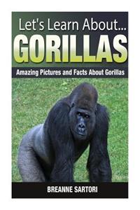 Gorillas: Amazing Pictures and Facts about Gorillas