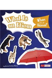 What Is an Idiom When It's at Home?