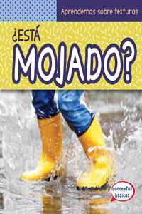 ¿Está Mojado? (What Is Wet?)