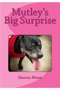 Mutley's Big Surprise