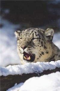 Snow Leopard in a Snow Drift Journal