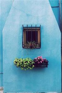 A Sky Blue House with Flowers Journal