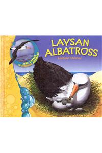 Us Lcma Laysan Albatross