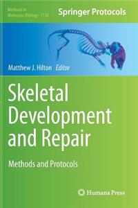 Skeletal Development and Repair