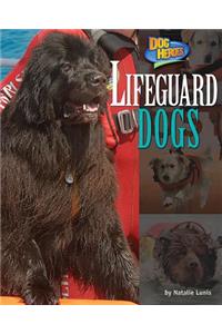 Lifeguard Dogs