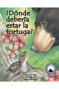 ¿Dónde Debería Estar La Tortuga? (Where Should Turtle Be?)