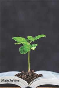 Identify That Plant