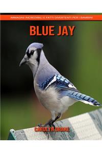 Blue Jay