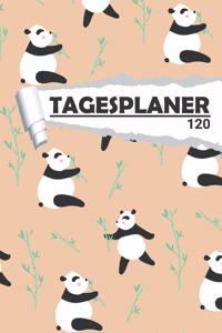 Tagesplaner Pandabär: Eleganter Terminplaner I DIN A5 I 120 Seiten I Tageskalender I Organizer für Schule, Uni und Büro