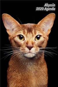 Abyssin 2020 Agenda