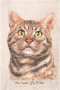 American Shorthair Cat Portrait Notebook