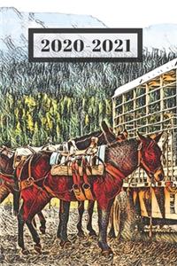 Horse Camp Back Packing in the Rocky Mountains Dated Calendar Planner 2 years To-Do Lists, Tasks, Notes Appointments