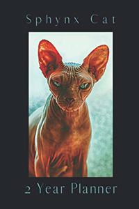 Sphynx Cat 2 Year Planner