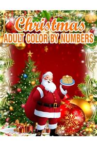 Christmas Adult Color By Numbers