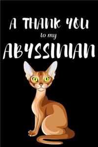 A Thank You To My Abyssian