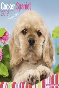 Cocker Spaniel Puppies Calendar 2019