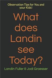 What does Landin see Today?