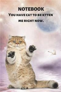 Notebook You Have Cat to Be Kitten Me Right Now