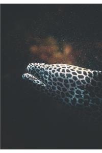 2019 Appointment Calendar