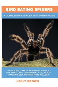 Bird Eating Spiders