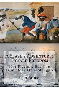 A Slave's Adventures Toward Freedom