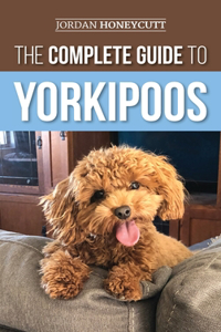 Complete Guide to Yorkipoos