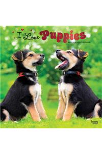 Puppies, I Love 2021 Square Foil