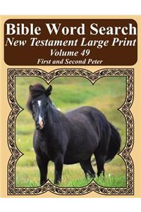 Bible Word Search New Testament Large Print Volume 49