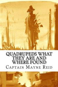 Quadrupeds What They Are and Where Found