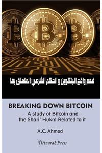 Breaking Down Bitcoin