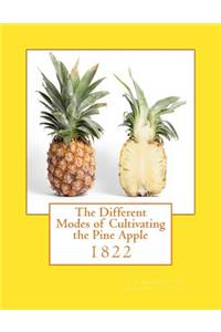 The Different Modes of Cultivating the Pine Apple