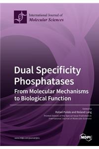 Dual Specificity Phosphatases