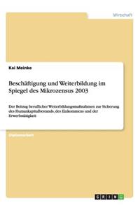 Beschäftigung und Weiterbildung im Spiegel des Mikrozensus 2003: Der Beitrag beruflicher Weiterbildungsmaßnahmen zur Sicherung des Humankapitalbestands, des Einkommens und der Erwerbstätigkeit