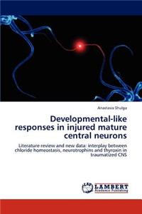 Developmental-like responses in injured mature central neurons