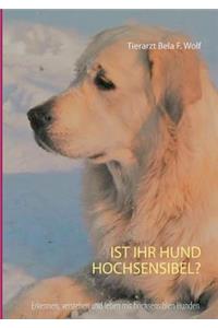 Ist Ihr Hund hochsensibel?