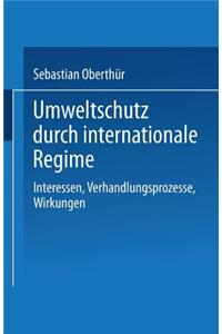 Umweltschutz Durch Internationale Regime