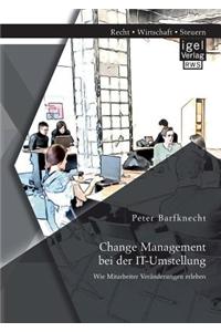 Change Management bei der IT-Umstellung
