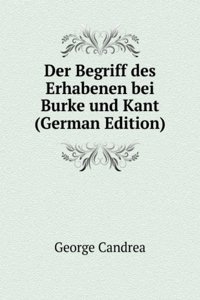 Der Begriff des Erhabenen bei Burke und Kant (German Edition)