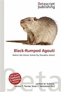 Black-Rumped Agouti