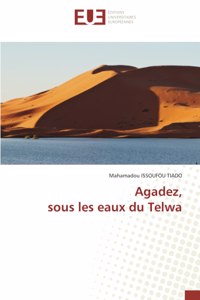 Agadez, sous les eaux du Telwa