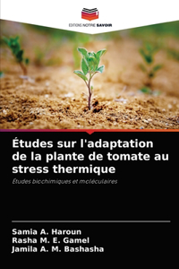 Études sur l'adaptation de la plante de tomate au stress thermique
