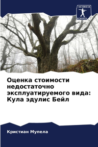 Оценка стоимости недостаточно эксплуати&