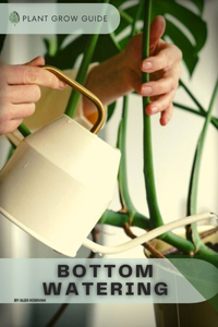 Bottom Watering