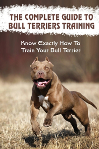 The Complete Guide To Bull Terriers Training