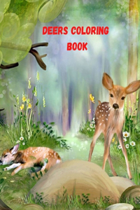 Deers Coloring Book