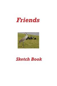 Friends Sketch Book