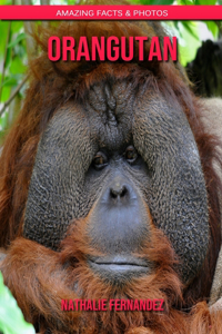 Orangutan