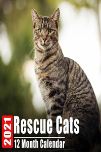 Calendar 2021 Rescue Cats